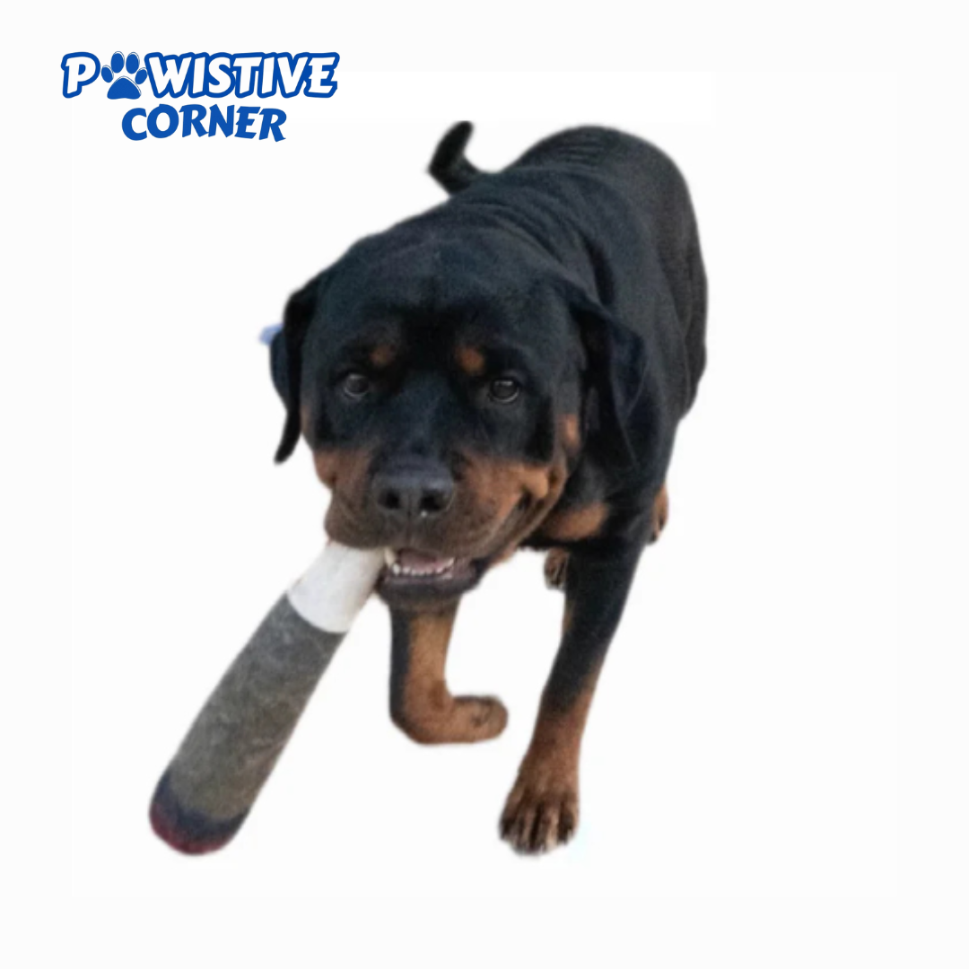 Pawsitive Joint™